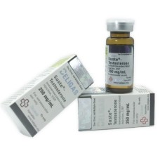 Sustanon 250 Beligas